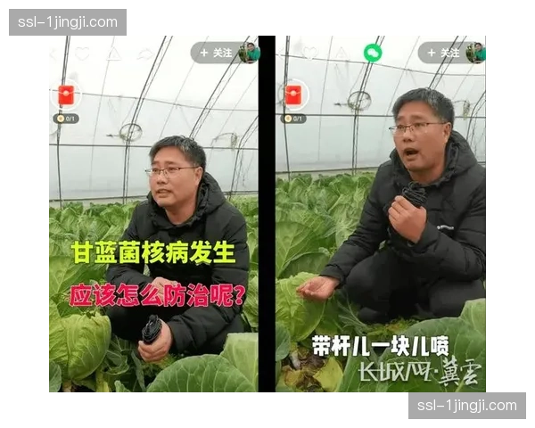 保障链条不仅关注躯体伤害 同时也向运动员的长期职业健康监测延展